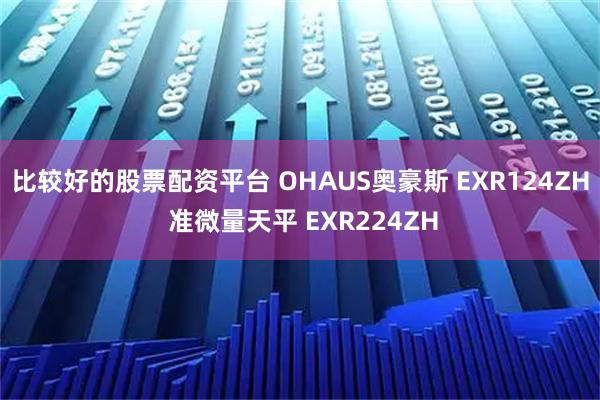 比较好的股票配资平台 OHAUS奥豪斯 EXR124ZH 准微量天平 EXR224ZH